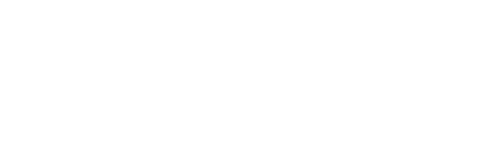 Blues Group USA LLC